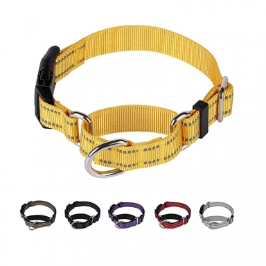 martingale dog collar