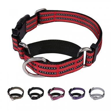 martingale dog collar