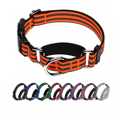 martingale dog collar